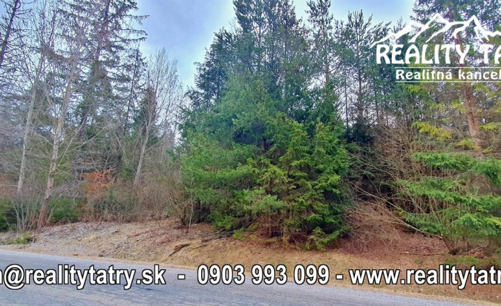 Rekreačný pozemok v lokalite Zahájnica 2700 m2 - Pekné tiché prostredie v lese - ODPORÚČAME !!! - fotografia 5